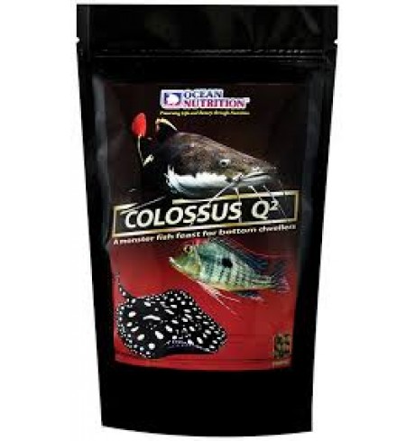 Colossus Q² (skęstantis), 200 g